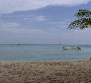 Ausflug nach Saona - Bild vom Traumstrand