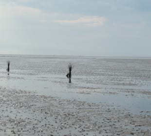Wattwagenfahrt zwischen Duhnen und Neuwerk