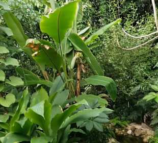 Botanischer Garten