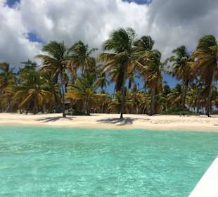 Saona Tour mit Guide Andy Bayahibe Ausflüge