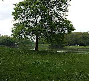 Park