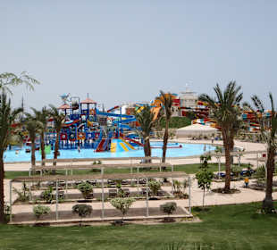 In 5 Jahren ist alles zugewachsen 