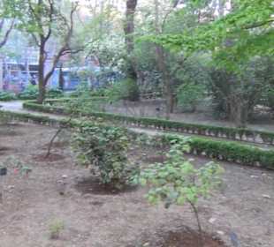 Real Jardín Botánico de Madrid