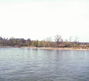 Rhein-Schifffahrt mit der Köln - Düsseldorfer