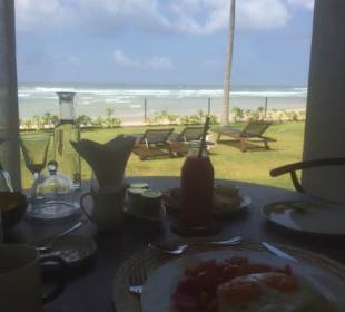 Aussieht aus meinem Hotel Zimmer 