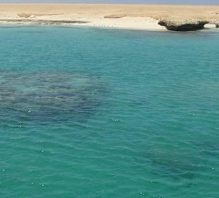 Ausflug Giftun Insel