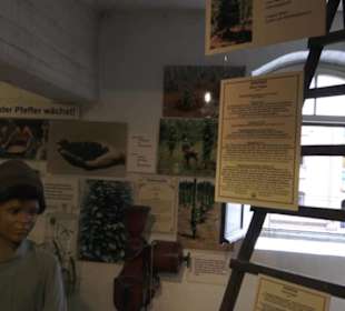 Spicy's Gewürzmuseum