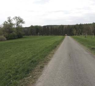 Lehrpfad Bäume des Jahres