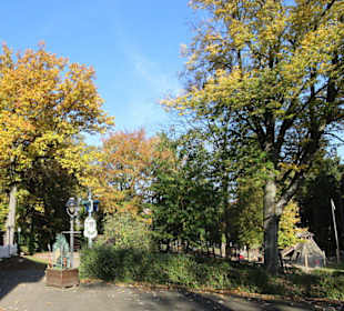 Blick in den Tierpark Wildgatter