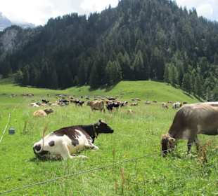 Bergtal Nensiner Himmel