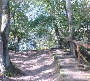 Leichter Anstieg am Orsoyer Berg
