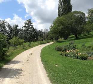 Hochgehnießen - Premiumspazierwanderweg