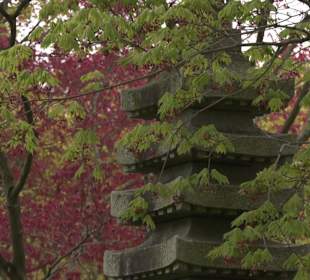 Japangarten Stuttgart