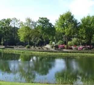 Hauptblüte im Rhododendronpark Bremen