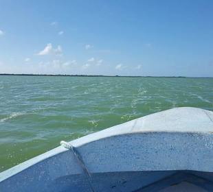 Bootsfahrt genießen 