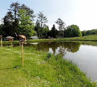Teiche im Rhododendronpark