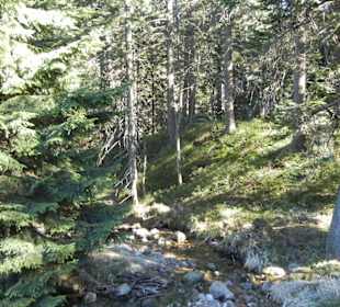 Karkonoski Park Narodowy