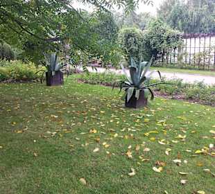 Palmiarnia Park Oliwski