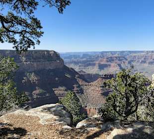Grand Canyon