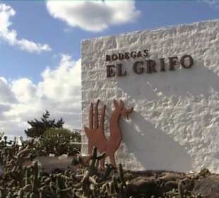 Bodega El Grifo