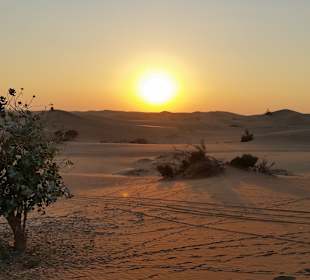 Sonnenuntergang in der Wüste