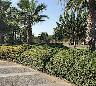 Strandpromenade Evrenseki