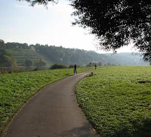Gut ausgebauter Elbe-Radweg!
