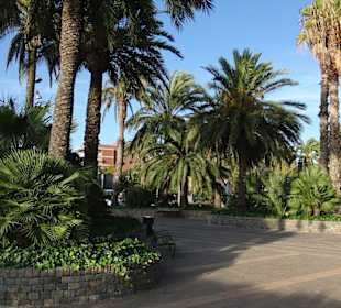 Passeig de Jaumes I (Palmenpromenade)