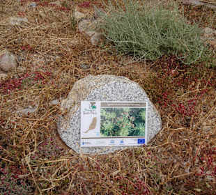 EU-geförderte Beschreibungen