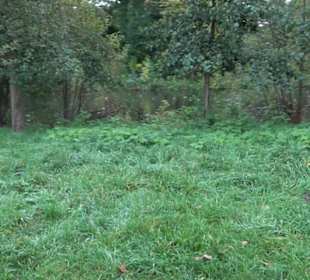 Schlosspark Charlottenburg