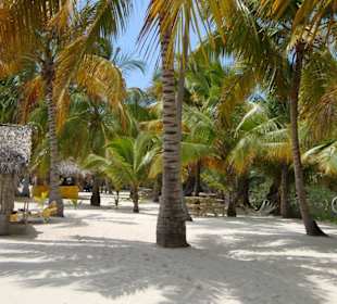 Saona Island einfach traumhaft