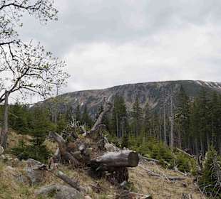 Berg Schneekoppe/Śnieżka