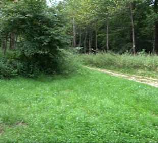 Sonnenaufgangs-Rundwanderung Rübgarten