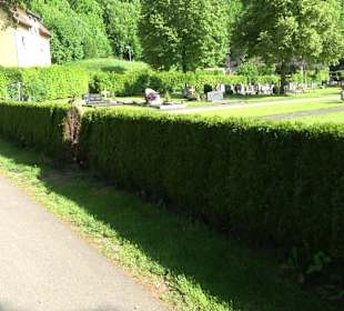 Friedhof Horb am Neckar
