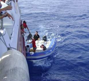 Die Fotos werden gebracht