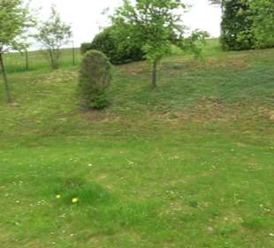 Friedhof Undingen