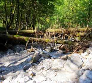 Bei Flut haut es alles weg