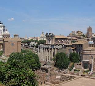 Panorama from palatino