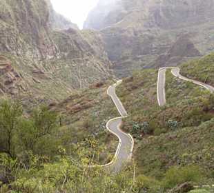 Masca