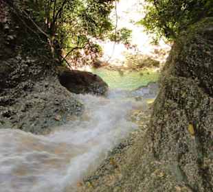 Dschungel Trekking Tour