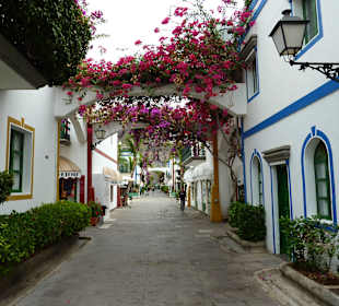 Schön bepflanzte Gassen