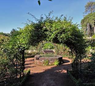 Eindrücke vom Rundgang durch Blandy´s Garden