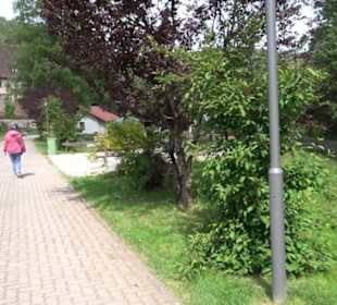 Kurpark Klosterreichenbach