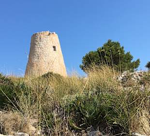 Wanderung Puig de Son Jordi