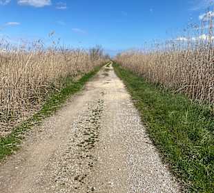 Naturpark S'Albufera