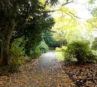 Herbstspaziergang durch den Schlosspark