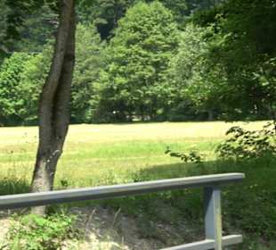 Wiesaztal Gönningen