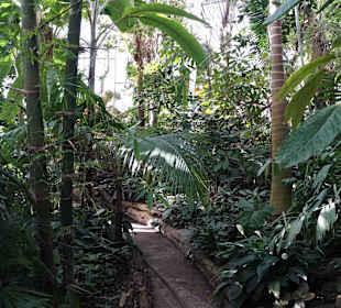 Anlage Planten un Blomen