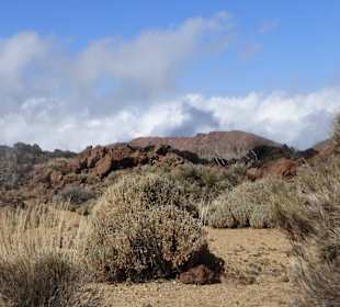 Unterwegs im Teide-Nationalpark