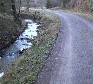 Ochsenweiher Rundweg